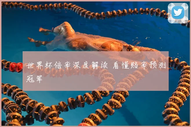 世界杯倍率深度解读 看懂赔率预测冠军