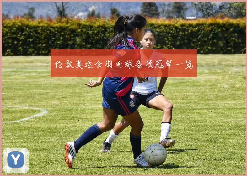 伦敦奥运会羽毛球各项冠军一览