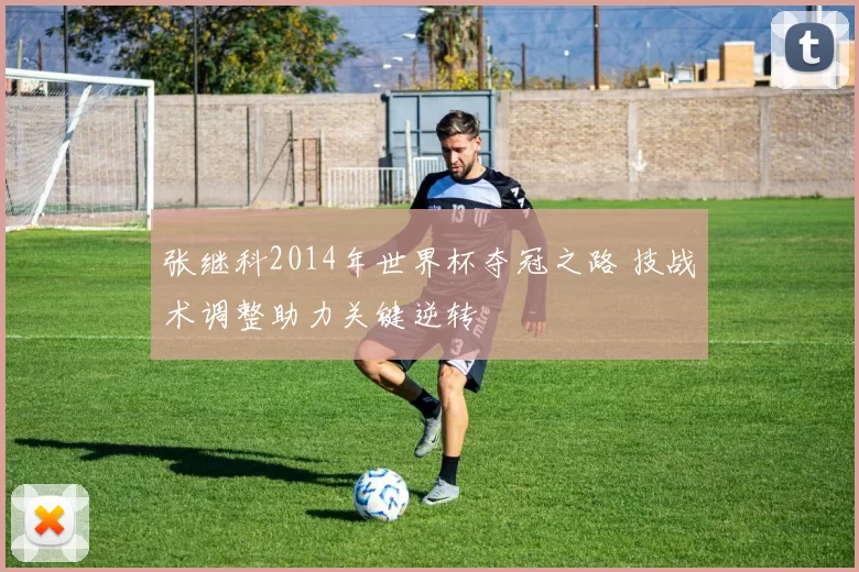 张继科2014年世界杯夺冠之路 技战术调整助力关键逆转