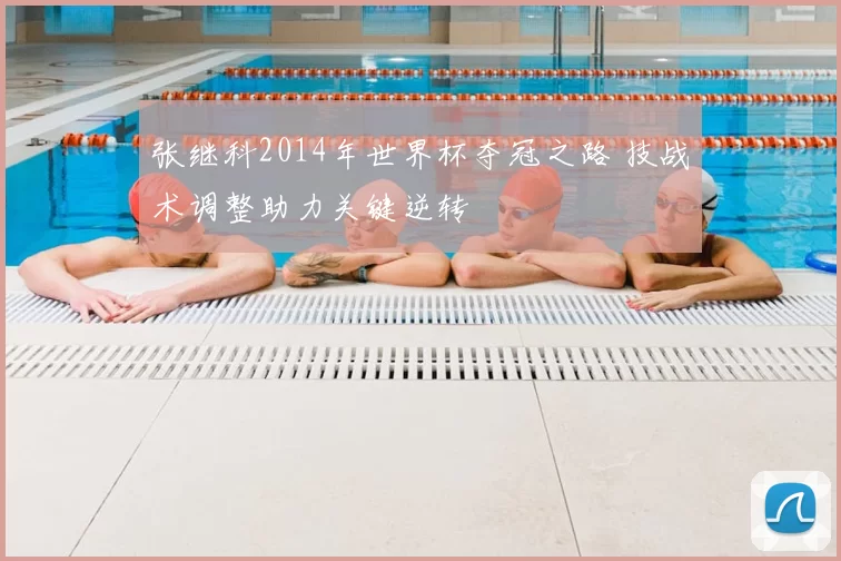 张继科2014年世界杯夺冠之路 技战术调整助力关键逆转