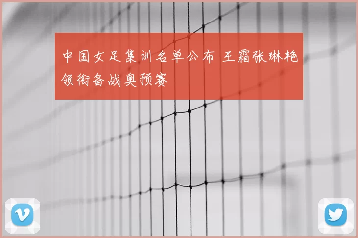 中国女足集训名单公布 王霜张琳艳领衔备战奥预赛