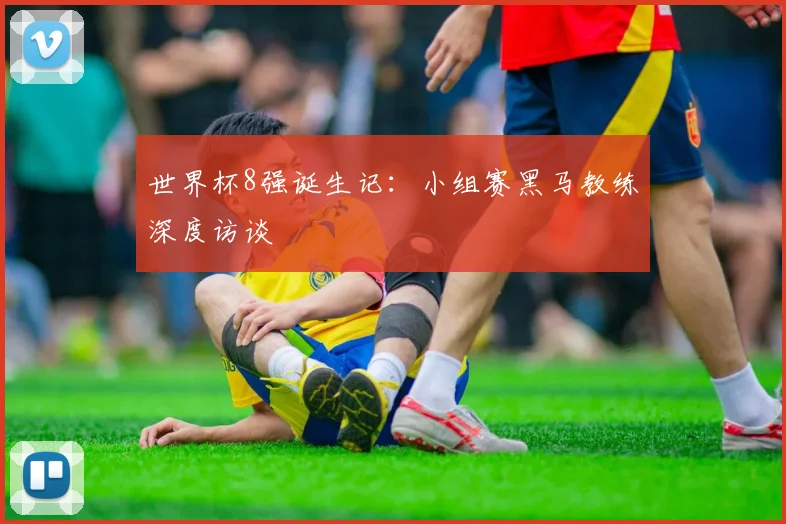 世界杯8强诞生记：小组赛黑马教练深度访谈
