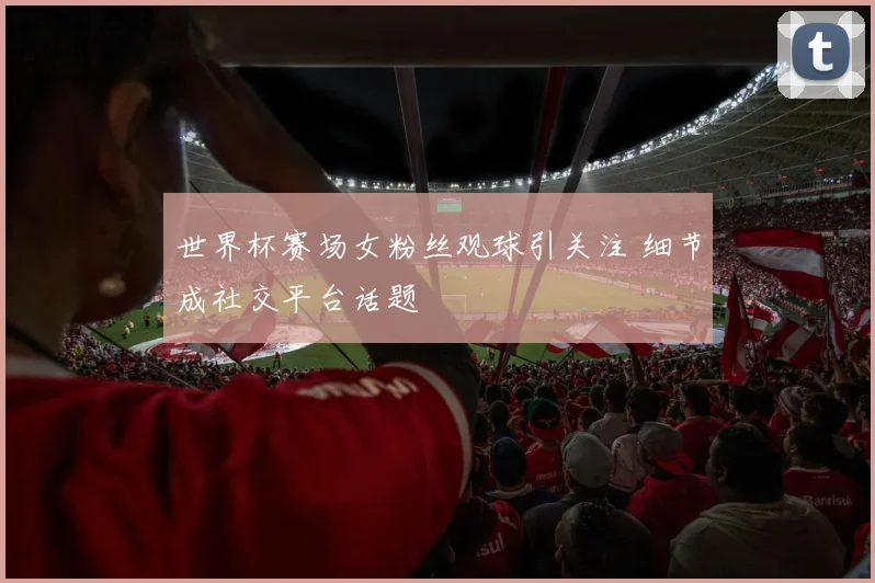 世界杯赛场女粉丝观球引关注 细节成社交平台话题